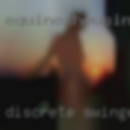 Discrete swingers